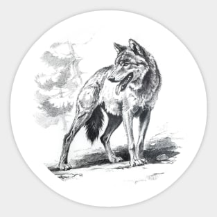 Wolf art Sticker